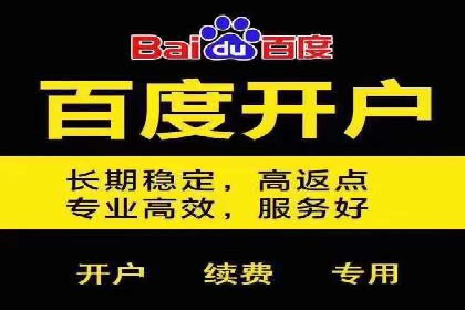 SEO策略在电商平台的成功应用案例